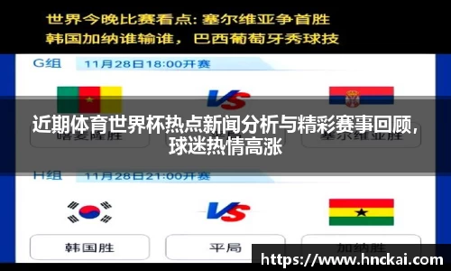 近期体育世界杯热点新闻分析与精彩赛事回顾，球迷热情高涨